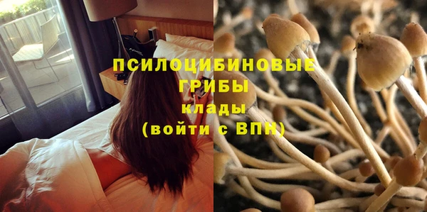 твердый Армянск