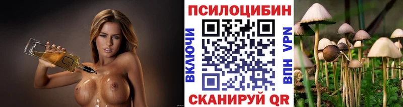 Галлюциногенные грибы ЛСД  Балашов 